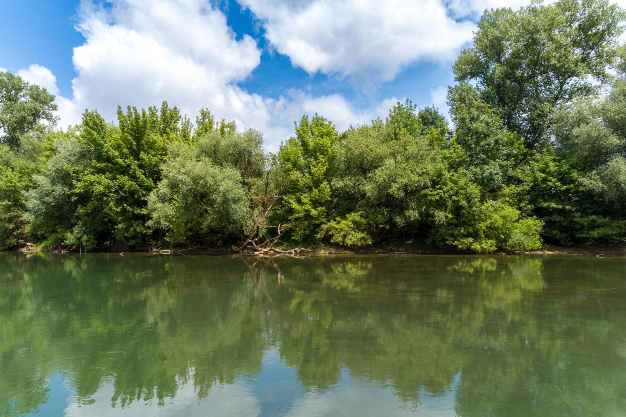 Zagreb, Kuca Za Odmor Swan River Holiday House Lasinja Ngoại thất bức ảnh