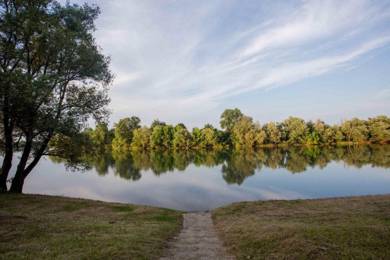Zagreb, Kuca Za Odmor Swan River Holiday House Lasinja Ngoại thất bức ảnh
