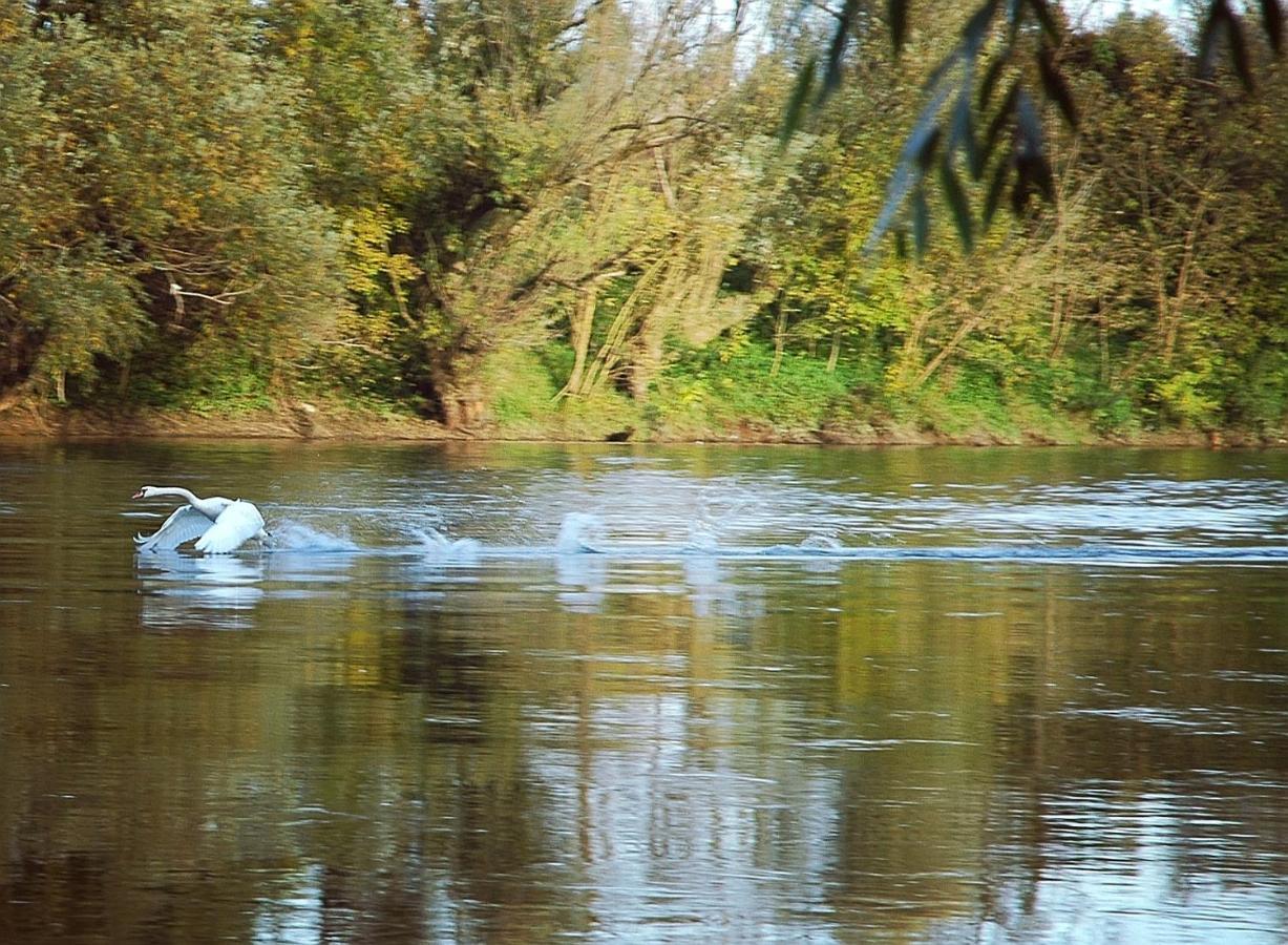 Zagreb, Kuca Za Odmor Swan River Holiday House Lasinja Ngoại thất bức ảnh