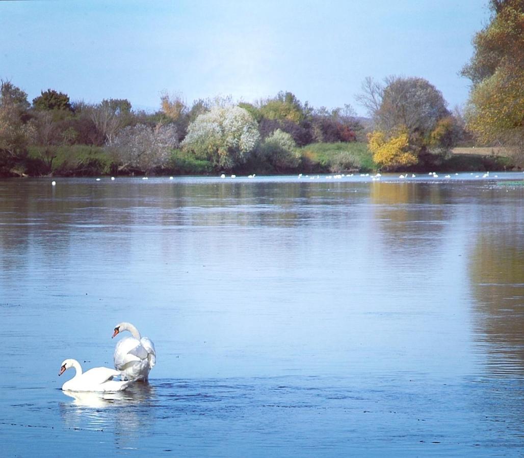Zagreb, Kuca Za Odmor Swan River Holiday House Lasinja Ngoại thất bức ảnh